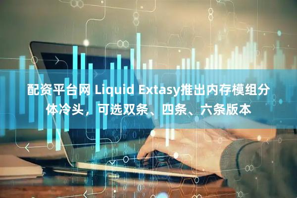 配资平台网 Liquid Extasy推出内存模组分体冷头，可选双条、四条、六条版本